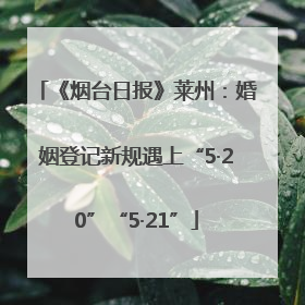 《烟台日报》莱州：婚姻登记新规遇上“5·20”“5·21”