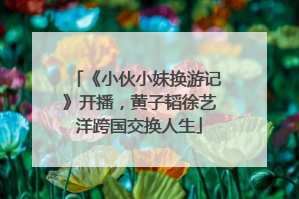 《小伙小妹换游记》开播，黄子韬徐艺洋跨国交换人生