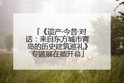 《遗产·今昔·对话：来自东方城市青岛的历史建筑巡礼》专题展在德开幕