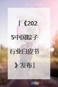 《2025中国粽子行业白皮书》发布