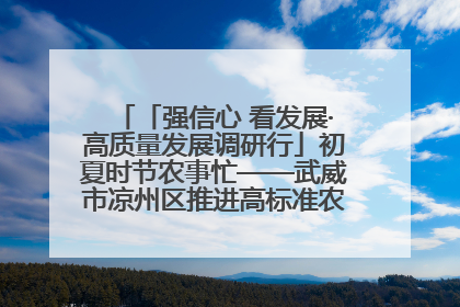 「强信心 看发展·高质量发展调研行」初夏时节农事忙——武威市凉州区推进高标准农田建设见闻