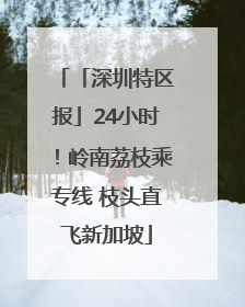「深圳特区报」24小时！岭南荔枝乘专线 枝头直飞新加坡