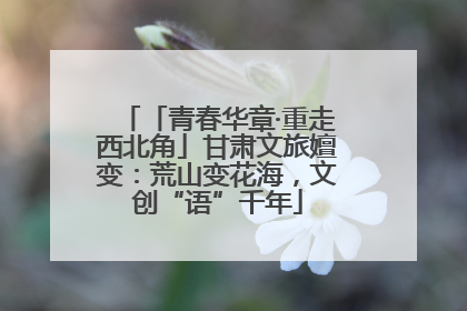 「青春华章·重走西北角」甘肃文旅嬗变：荒山变花海，文创“语”千年