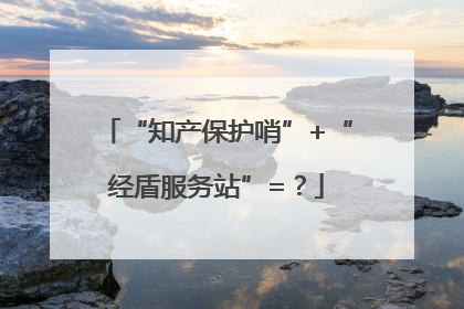 “知产保护哨”+“经盾服务站”=？