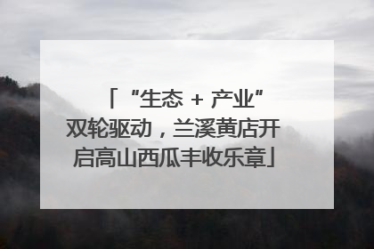 “生态 + 产业”双轮驱动，兰溪黄店开启高山西瓜丰收乐章