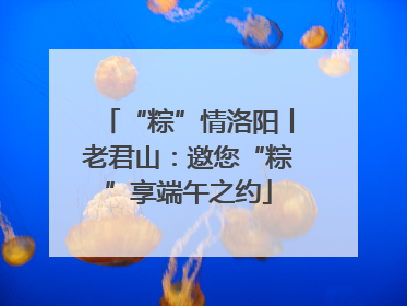 “粽”情洛阳丨老君山：邀您“粽”享端午之约