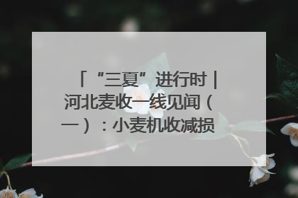 “三夏”进行时｜河北麦收一线见闻（一）：小麦机收减损“竞技” 农机高手麦田“过招”