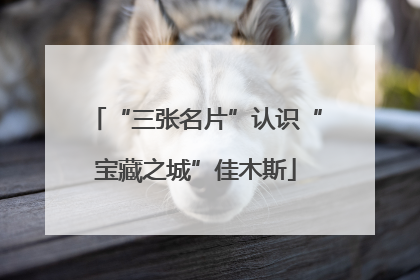 “三张名片”认识“宝藏之城”佳木斯