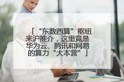 “东数西算”枢纽来沪推介，这里竟是华为云、腾讯和网易的算力“大本营”