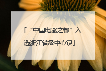 “中国电器之都”入选浙江省级中心镇