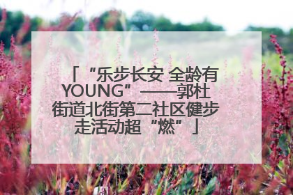 “乐步长安 全龄有YOUNG”——郭杜街道北街第二社区健步走活动超“燃”