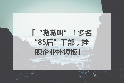 “嗷嗷叫”！多名“85后”干部，挂职企业补短板