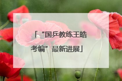“国乒教练王皓考编”最新进展