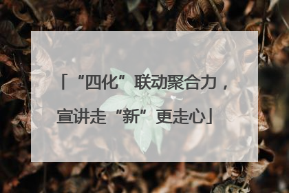 “四化”联动聚合力，宣讲走“新”更走心