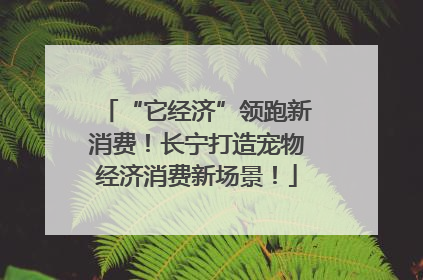 “它经济”领跑新消费！长宁打造宠物经济消费新场景！