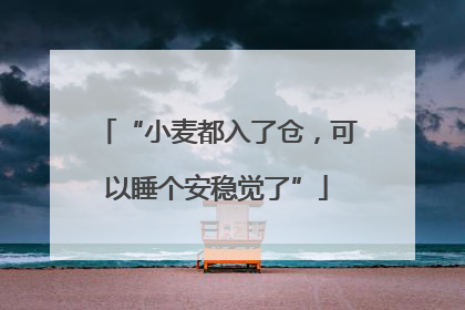 “小麦都入了仓，可以睡个安稳觉了”