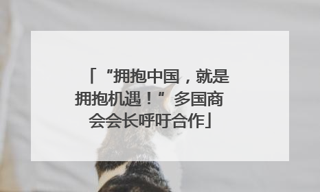“拥抱中国，就是拥抱机遇！”多国商会会长呼吁合作