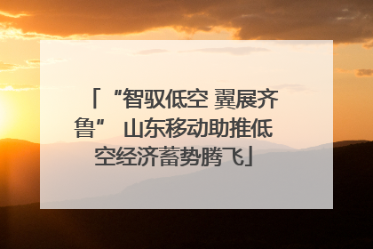 “智驭低空 翼展齐鲁” 山东移动助推低空经济蓄势腾飞