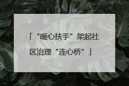 “暖心扶手”架起社区治理“连心桥”