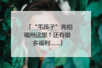 “毛孩子”亮相福州这里！还有很多福利……