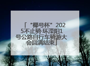 “椰号杯”2025不止骑·环溧阳1号公路自行车骑游大会圆满结束