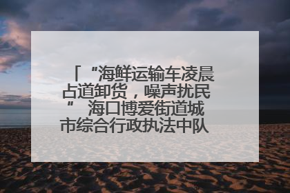 “海鲜运输车凌晨占道卸货，噪声扰民” 海口博爱街道城市综合行政执法中队：将联合交警加强长堤路一带巡逻