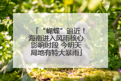 “蝴蝶”逼近！海南进入风雨核心影响时段 今明天局地有特大暴雨