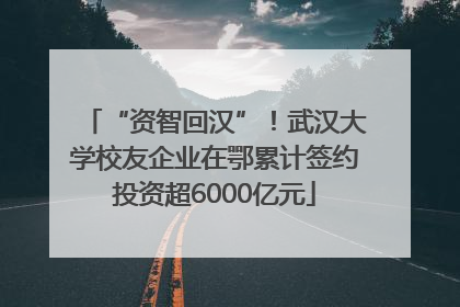 “资智回汉”！武汉大学校友企业在鄂累计签约投资超6000亿元