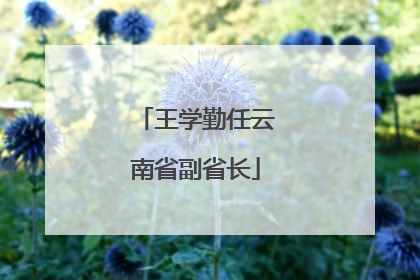 王学勤任云南省副省长