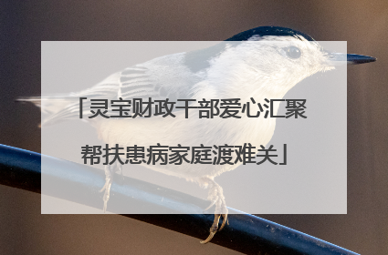 灵宝财政干部爱心汇聚 帮扶患病家庭渡难关
