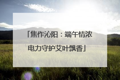 焦作沁阳：端午情浓 电力守护艾叶飘香