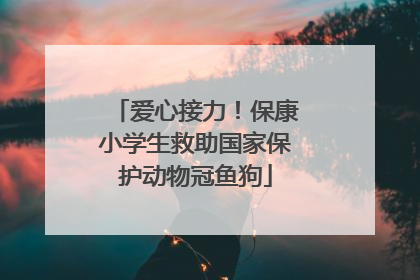 爱心接力！保康小学生救助国家保护动物冠鱼狗