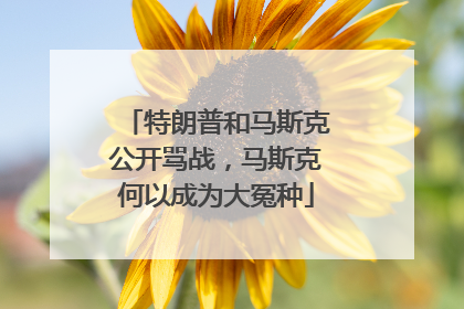 特朗普和马斯克公开骂战，马斯克何以成为大冤种