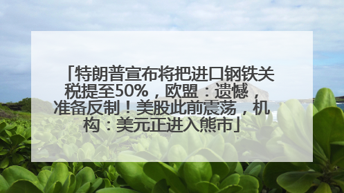 特朗普宣布将把进口钢铁关税提至50%，欧盟：遗憾，准备反制！美股此前震荡，机构：美元正进入熊市