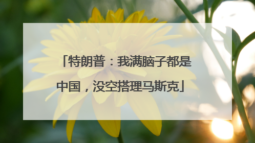 特朗普：我满脑子都是中国，没空搭理马斯克