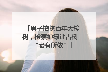 男子擅挖百年大樟树，检察护绿让古树“老有所依”