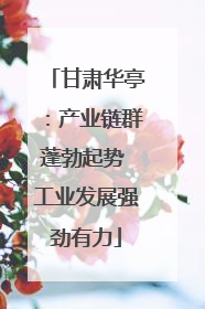 甘肃华亭：产业链群蓬勃起势 工业发展强劲有力