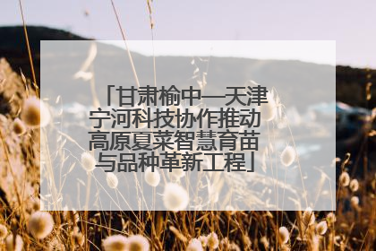 甘肃榆中—天津宁河科技协作推动高原夏菜智慧育苗与品种革新工程