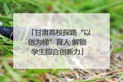甘肃高校探路“以创为梯”育人 解锁学生综合创新力