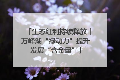生态红利持续释放丨万峰湖“绿动力”提升发展“含金量”