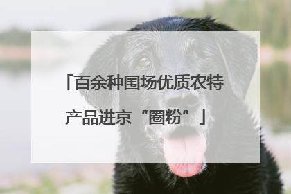 百余种围场优质农特产品进京“圈粉”