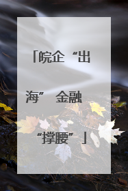 皖企“出海” 金融“撑腰”