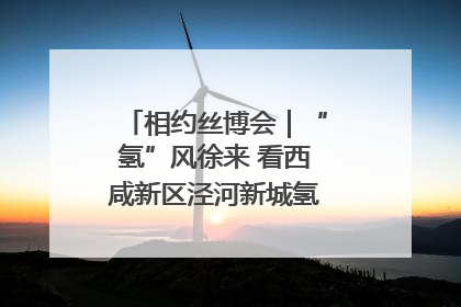 相约丝博会｜“氢”风徐来 看西咸新区泾河新城氢能产业聚链成势
