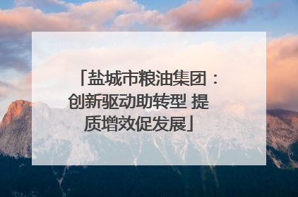 盐城市粮油集团：创新驱动助转型 提质增效促发展