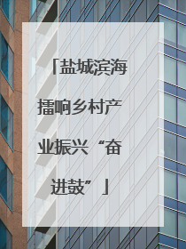 盐城滨海擂响乡村产业振兴“奋进鼓”