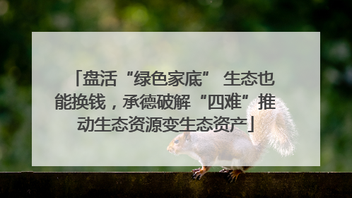 盘活“绿色家底” 生态也能换钱，承德破解“四难”推动生态资源变生态资产