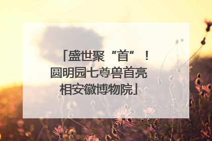 盛世聚“首”！圆明园七尊兽首亮相安徽博物院