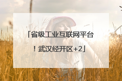 省级工业互联网平台！武汉经开区+2