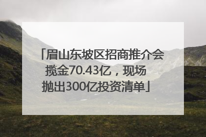 眉山东坡区招商推介会揽金70.43亿，现场抛出300亿投资清单