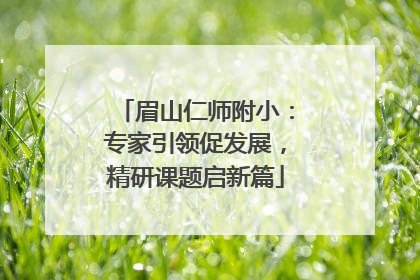 眉山仁师附小：专家引领促发展，精研课题启新篇
